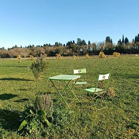 Le Clos Des Mimosas *